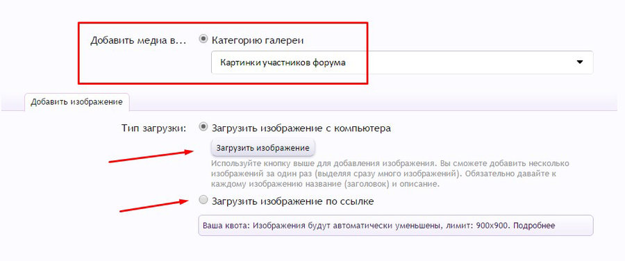 Без-имени-1.jpg