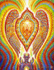 Alex_Grey_Seraphic-Transport_Docking_on_the_Third_Eye.jpg