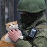 Тута