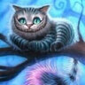 RadaRin